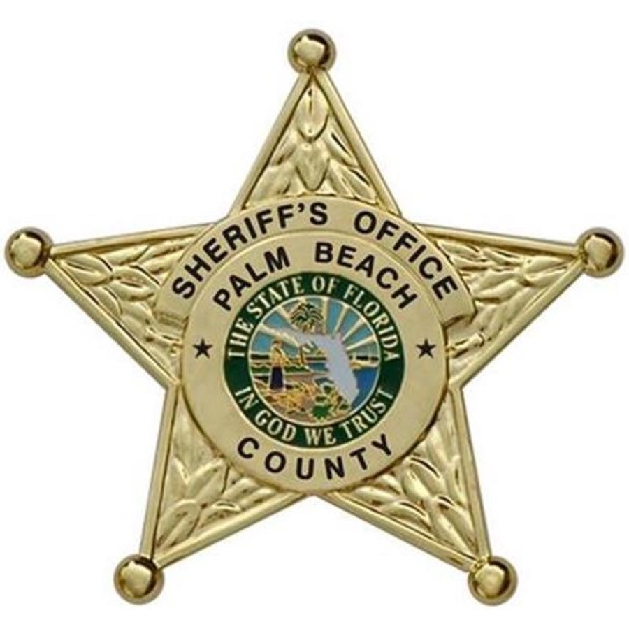 Palm Beach County, FL Sheriff Property Sale: 2019 GRAY TOYOTA TACOMA S