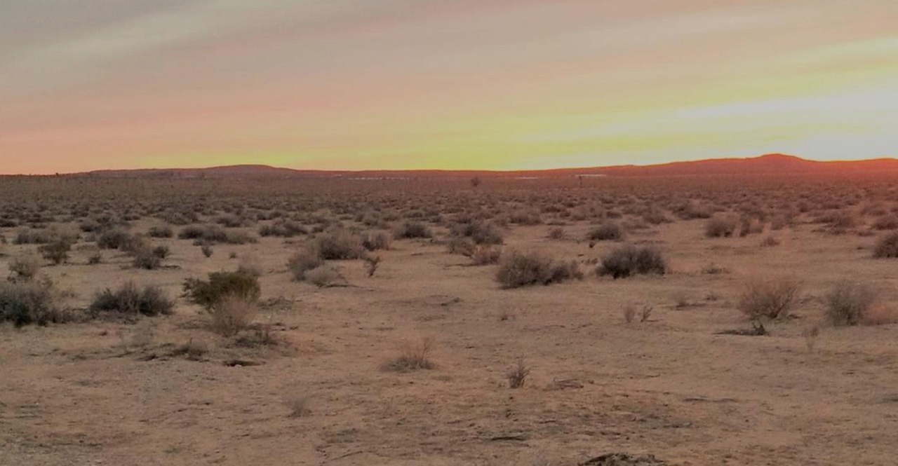 5 Scenic Acres For Sale In Adelanto, CA