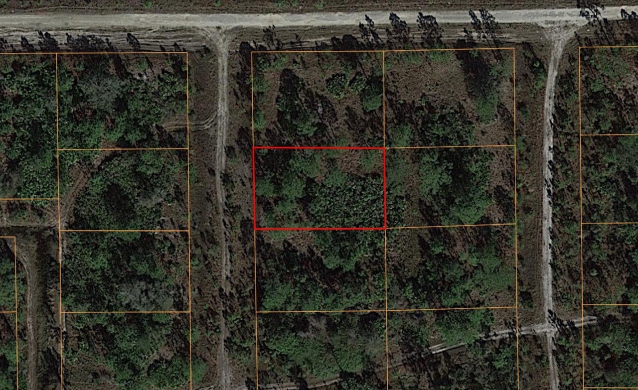 Residential Property in Undeveloped Lee County, FL