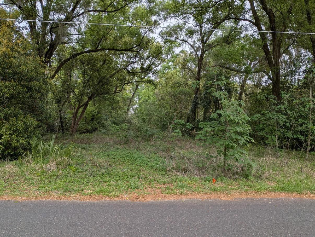 Vacant, Level, Wooded Residential Lot in Ocala, FL   Government Surplus Auction - Photo #3