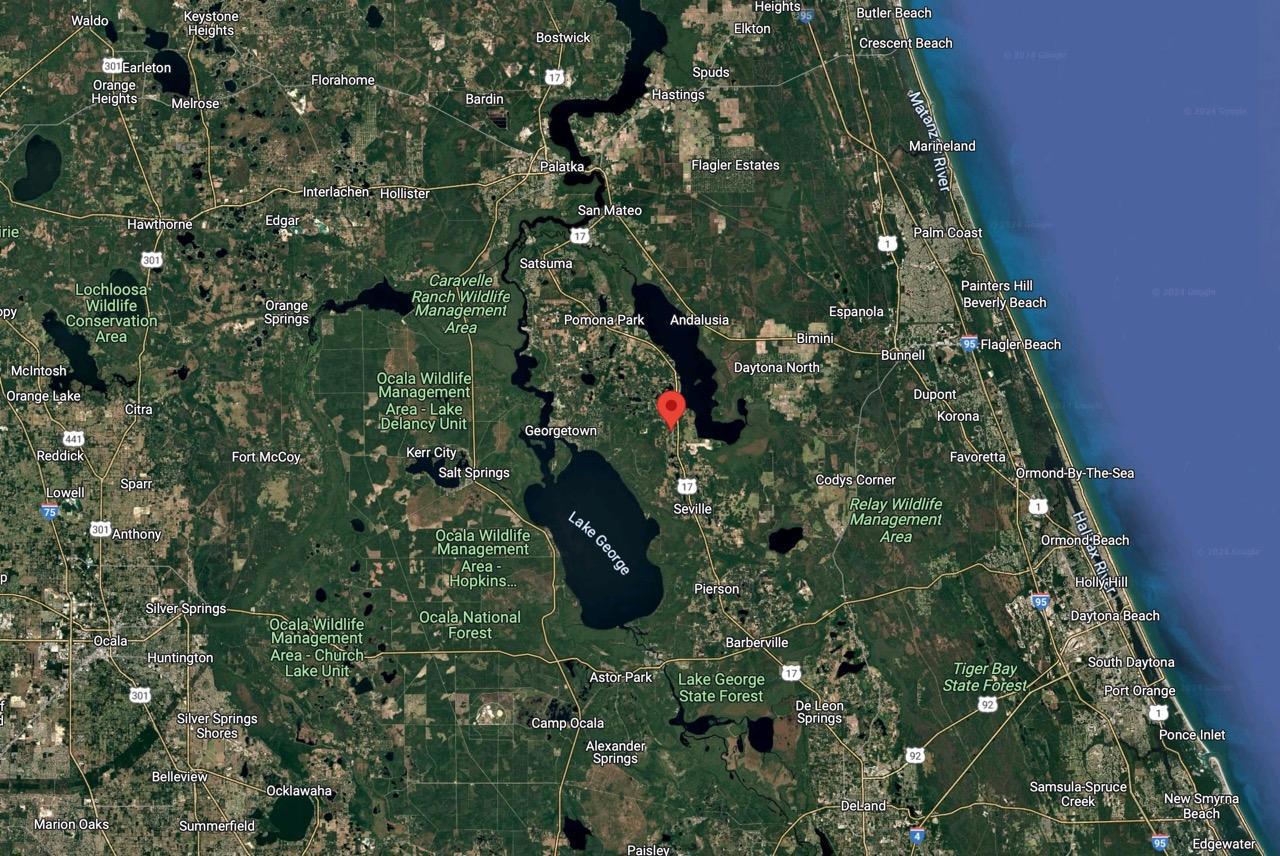 Agricultural Quarter-Acre in Crescent City, FL   Government Surplus Auction - Photo #3