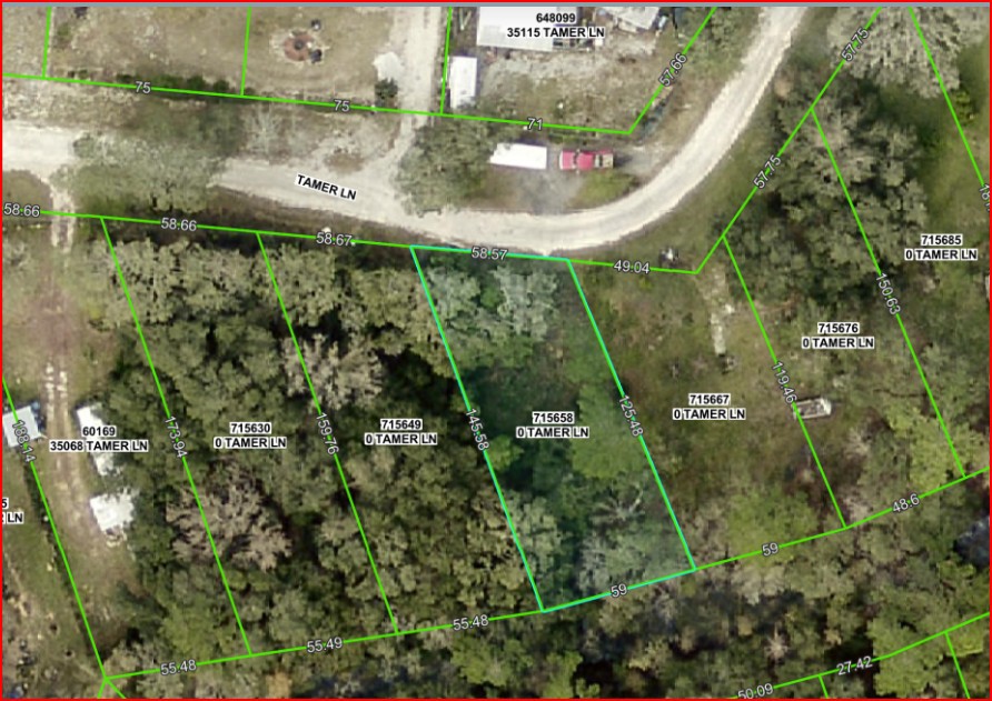 Vacant, Level Lot for Sale in Residential Hernando County   Government Surplus Auction - Photo #4
