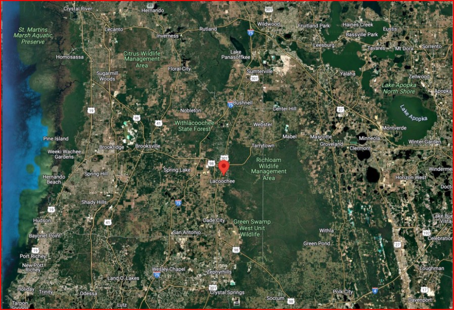 Vacant, Level Lot for Sale in Residential Hernando County   Government Surplus Auction - Photo #5