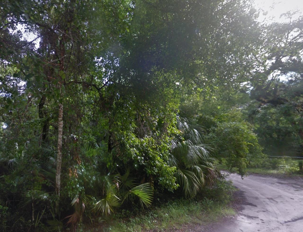 Corner, Residential Lot in Secluded Hernando, FL   Government Surplus Auction - Photo #2