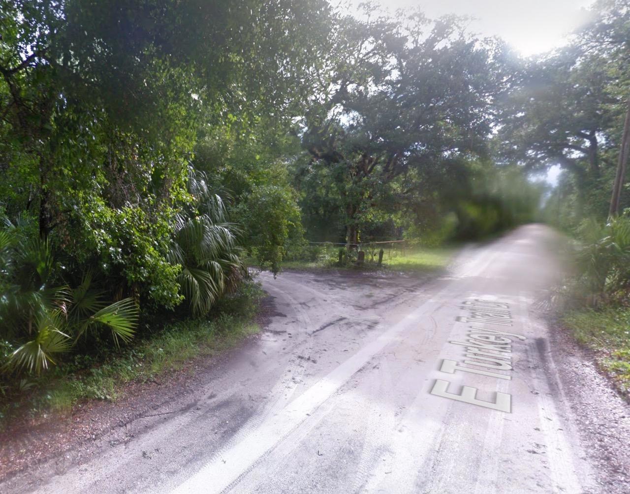 Corner, Residential Lot in Secluded Hernando, FL   Government Surplus Auction - Photo #4