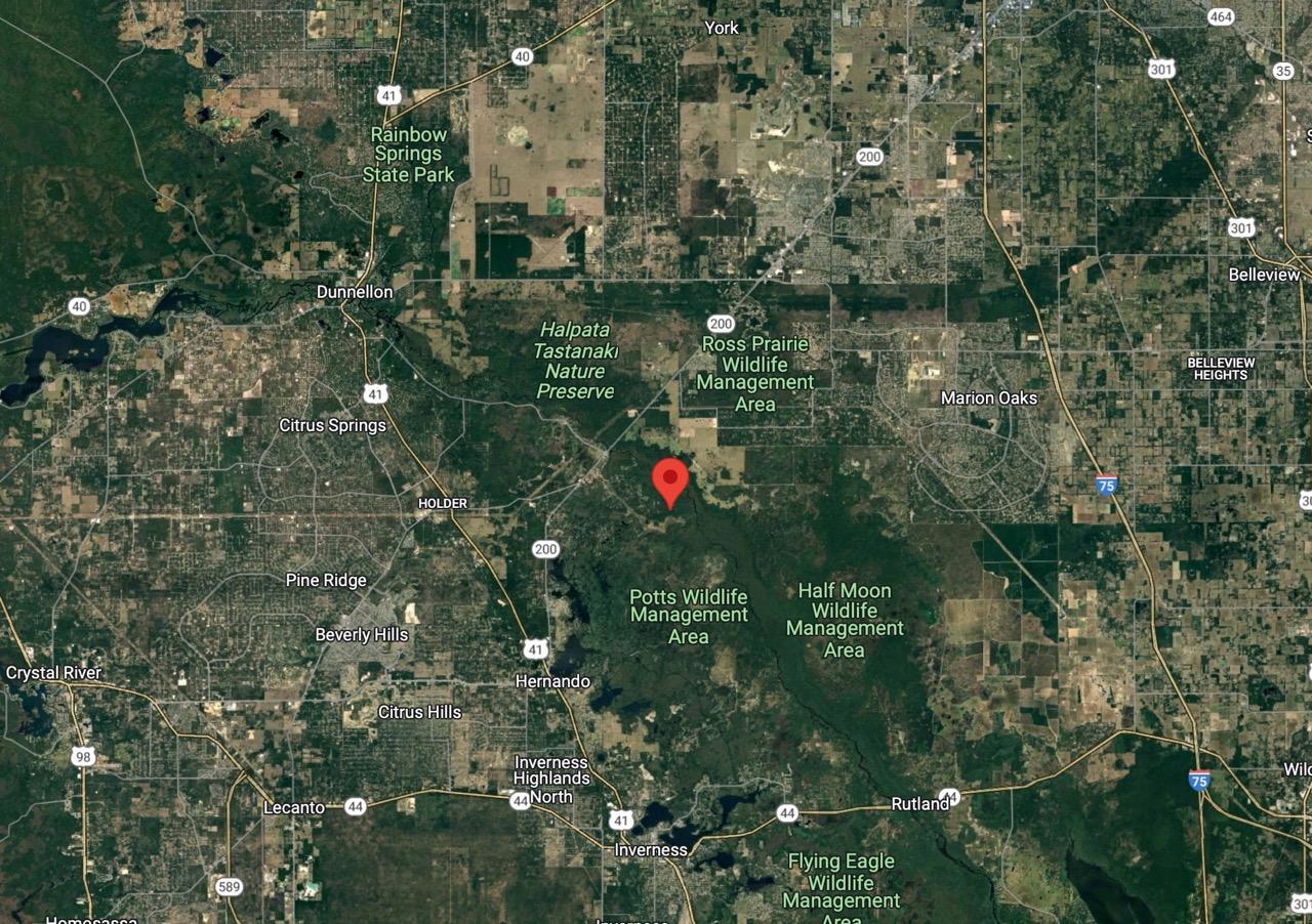 Corner, Residential Lot in Secluded Hernando, FL   Government Surplus Auction - Photo #5