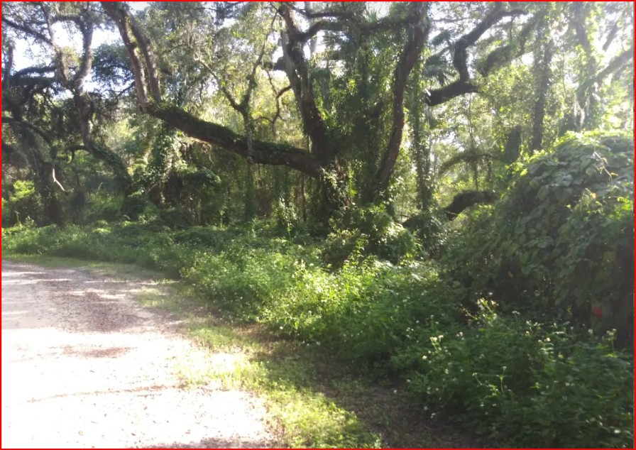 Single Family Residential Double Lot in Fountain, FL   Government Surplus Auction - Photo #2