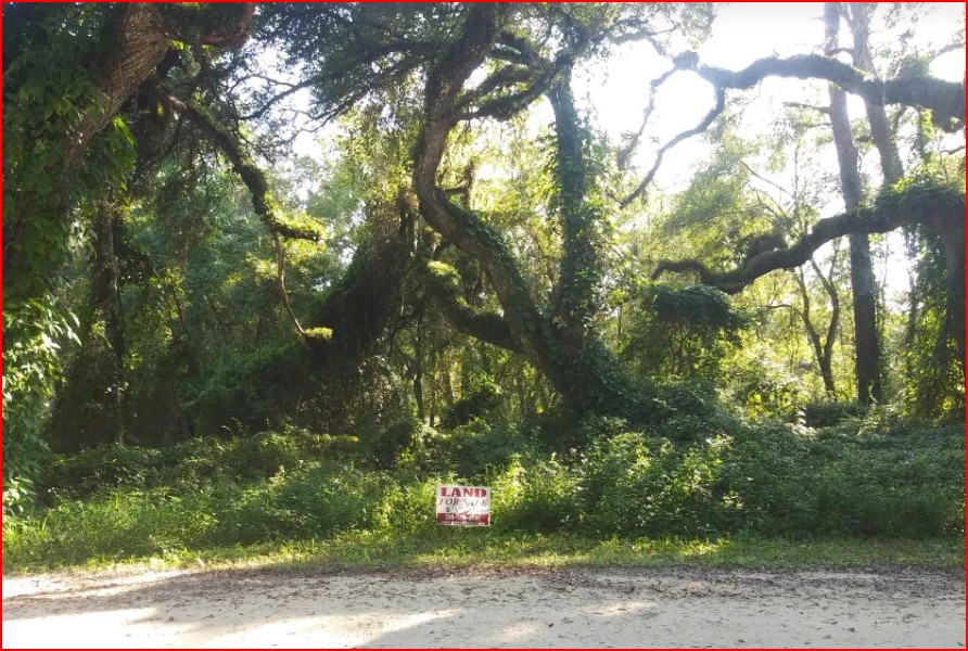 Single Family Residential Double Lot in Fountain, FL   Government Surplus Auction - Photo #5