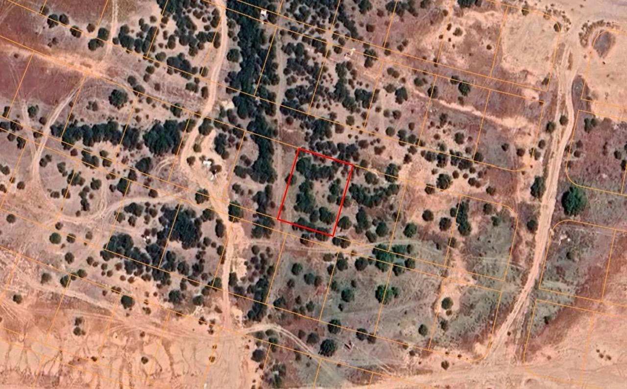 Level, Undeveloped Lot in Arizona City   Government Surplus Auction - Photo #4