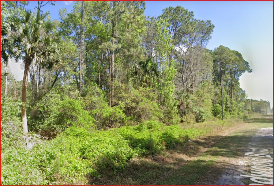Undeveloped Residential Lot near Lake George, FL   Government Surplus Auction - Photo #2