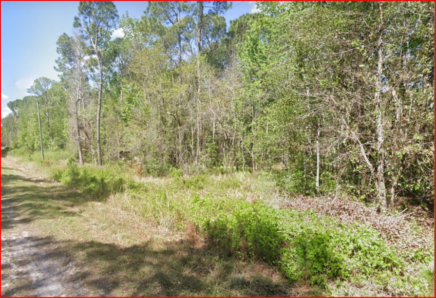 Undeveloped Residential Lot near Lake George, FL   Government Surplus Auction - Photo #3