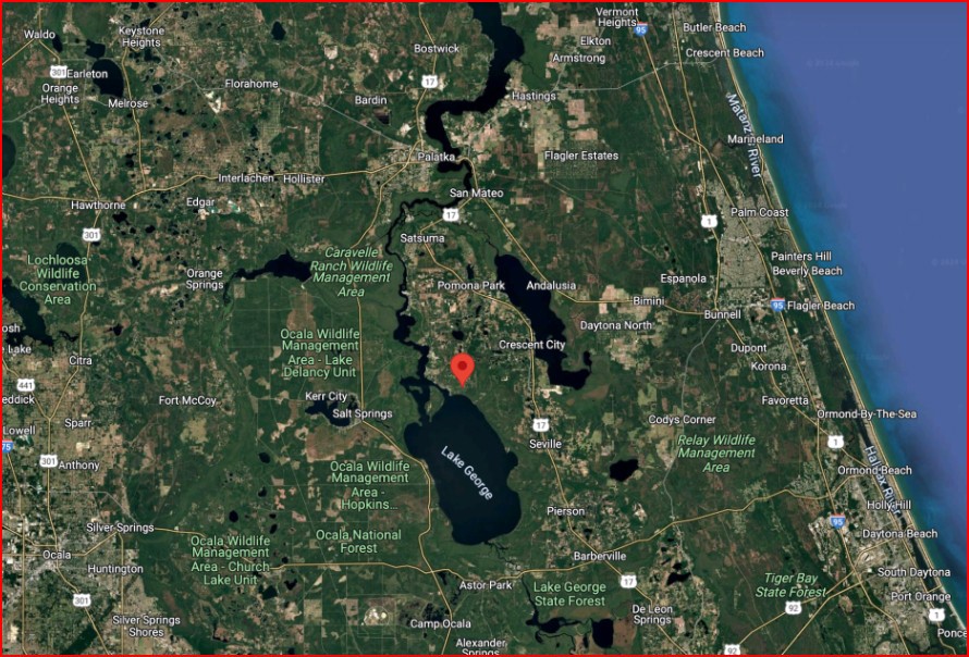 Undeveloped Residential Lot near Lake George, FL   Government Surplus Auction - Photo #4
