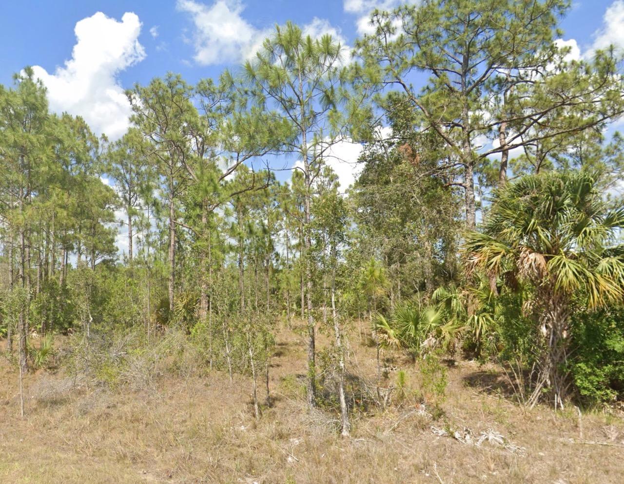 Nearly Half an Acre near Lehigh Acres