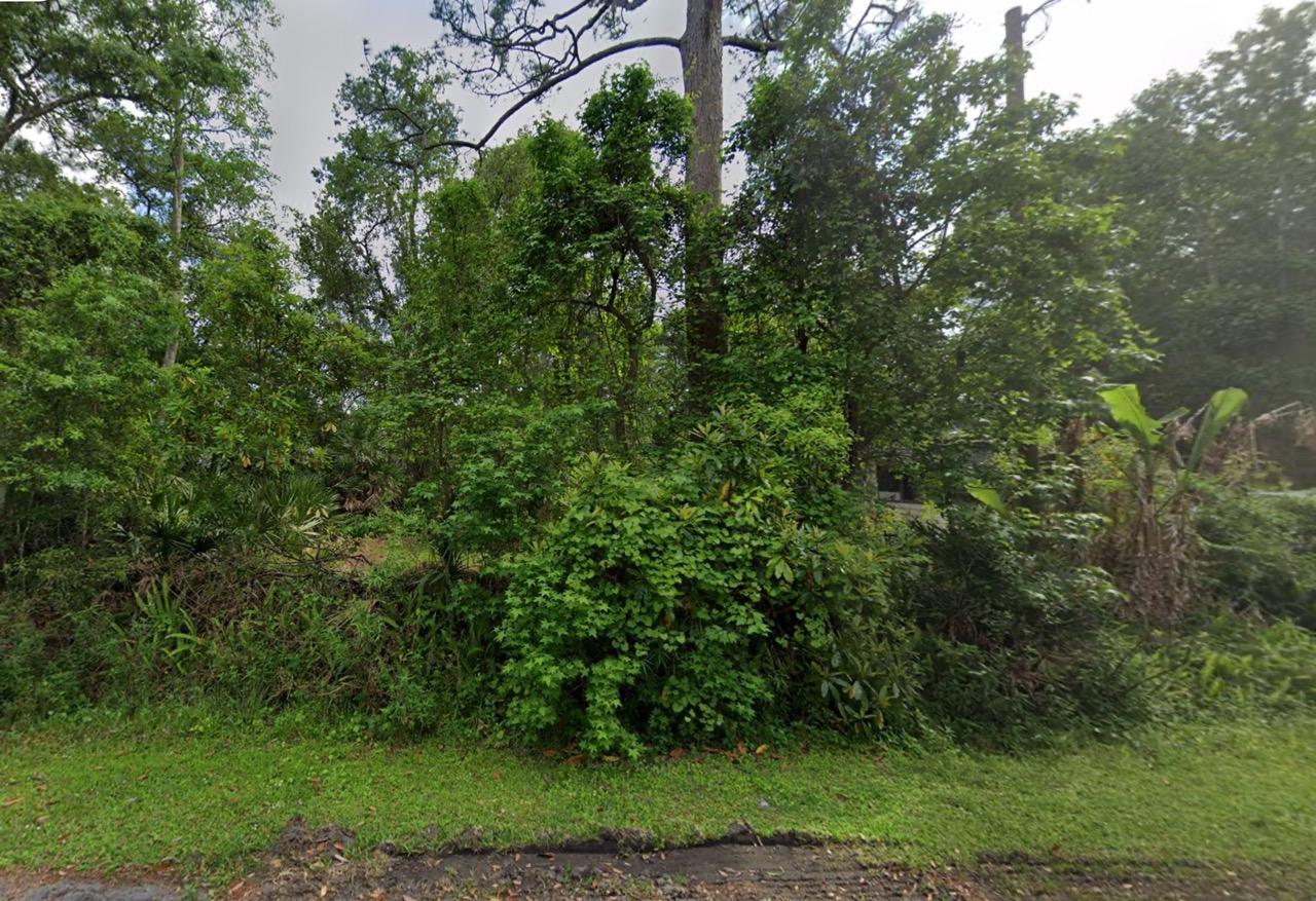 Vacant Residential Lot near St. John’s River in Astor, FL
