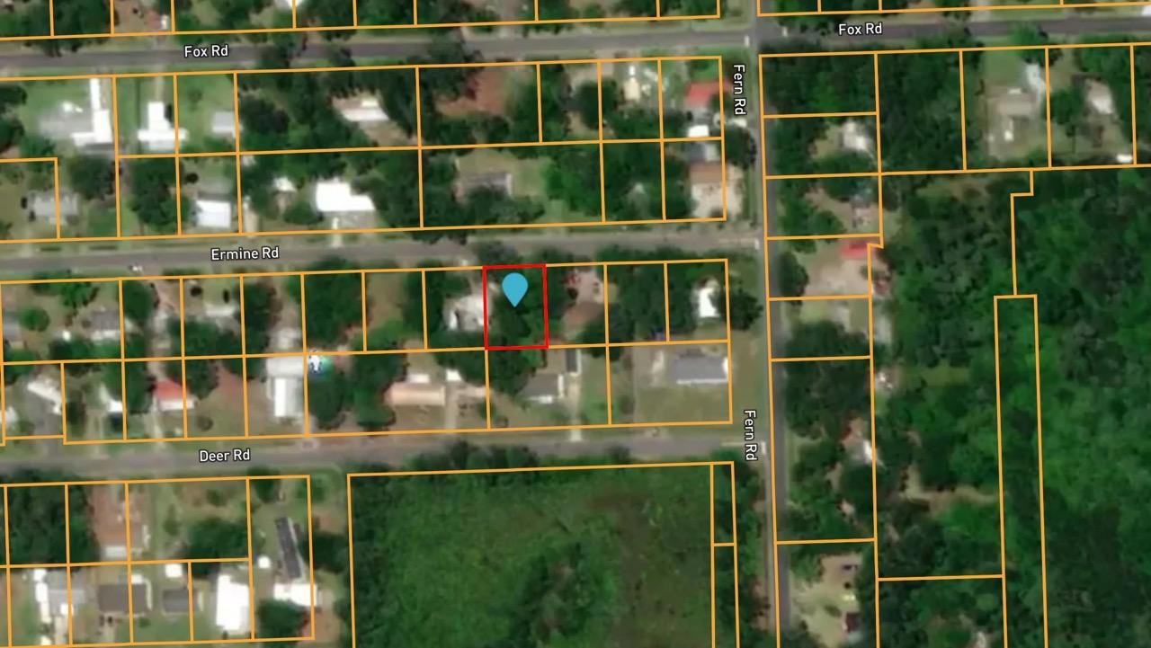 Vacant Residential Lot near St. John’s River in Astor, FL   Government Surplus Auction - Photo #3