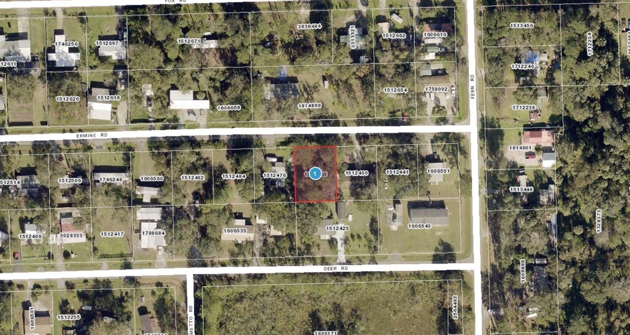 Vacant Residential Lot near St. John’s River in Astor, FL   Government Surplus Auction - Photo #4
