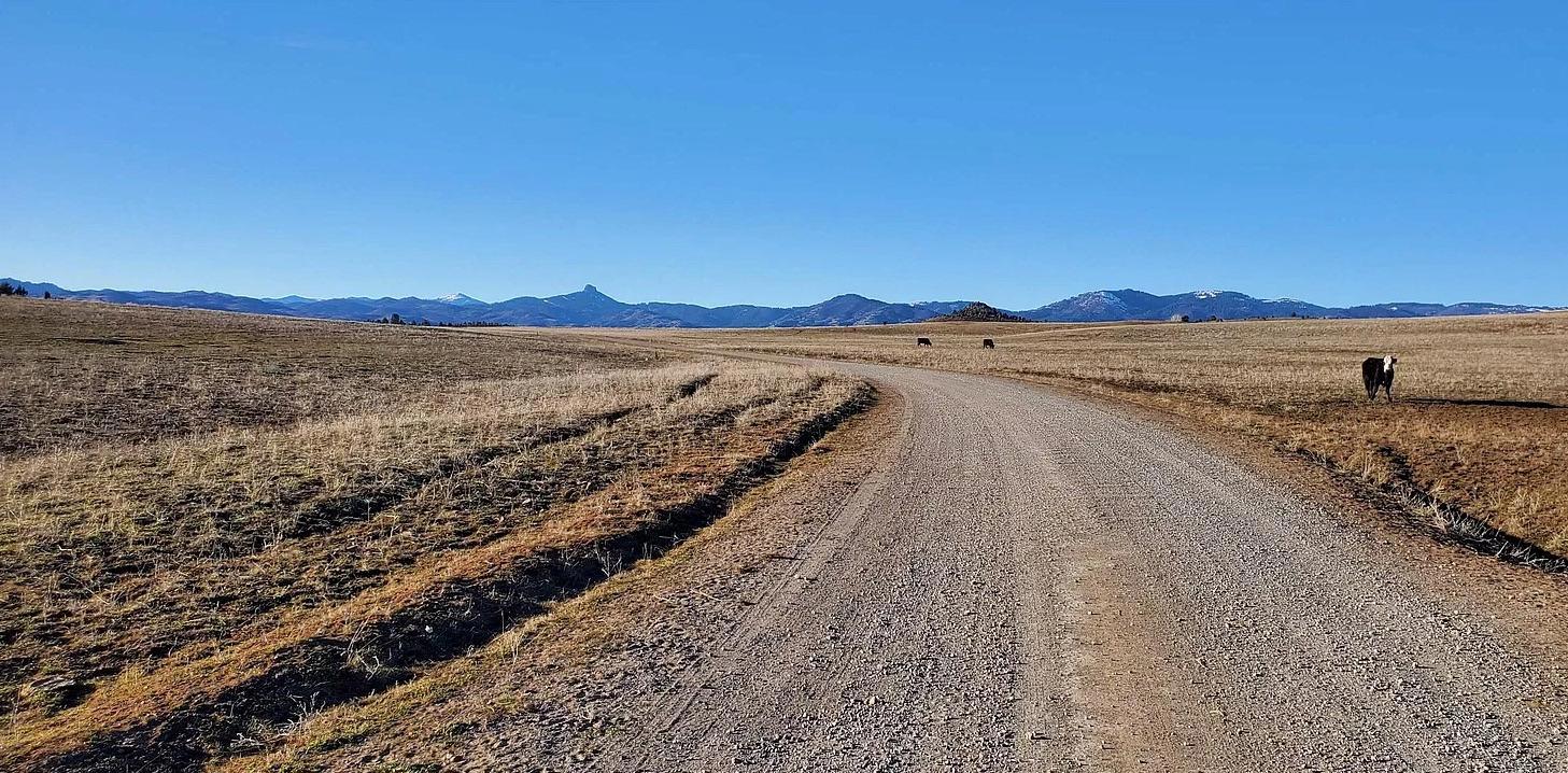 2.56 Acres For Sale In Scenic Iron Gate Estates!