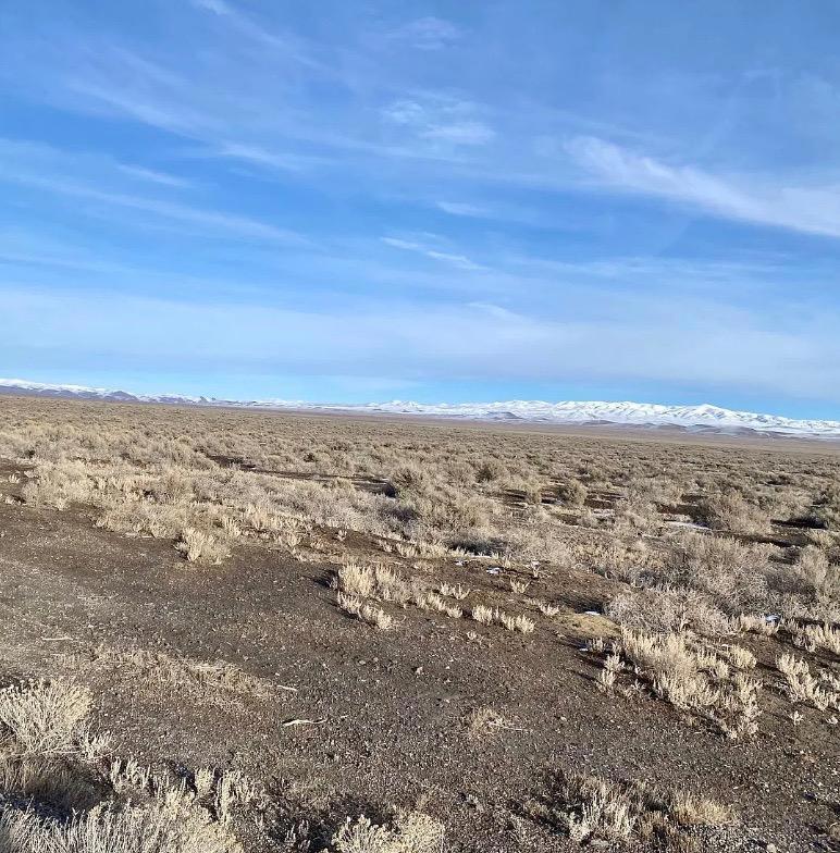 4.54 Acres Of Land With Mountain Views Near Crescent Valley, NV   Government Surplus Auction - Photo #2