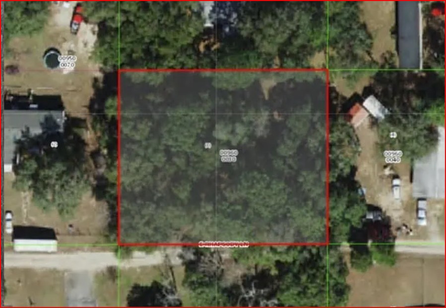 Wooded Home Site in Hernando, FL   Government Surplus Auction - Photo #4