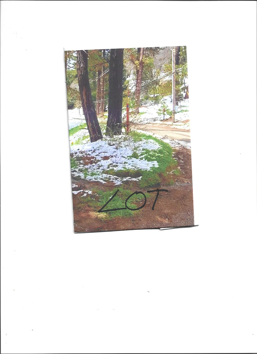 Beautiful Vacant Lot About 5 Miles from Lake Arrowhead, Great Investment Opportunity