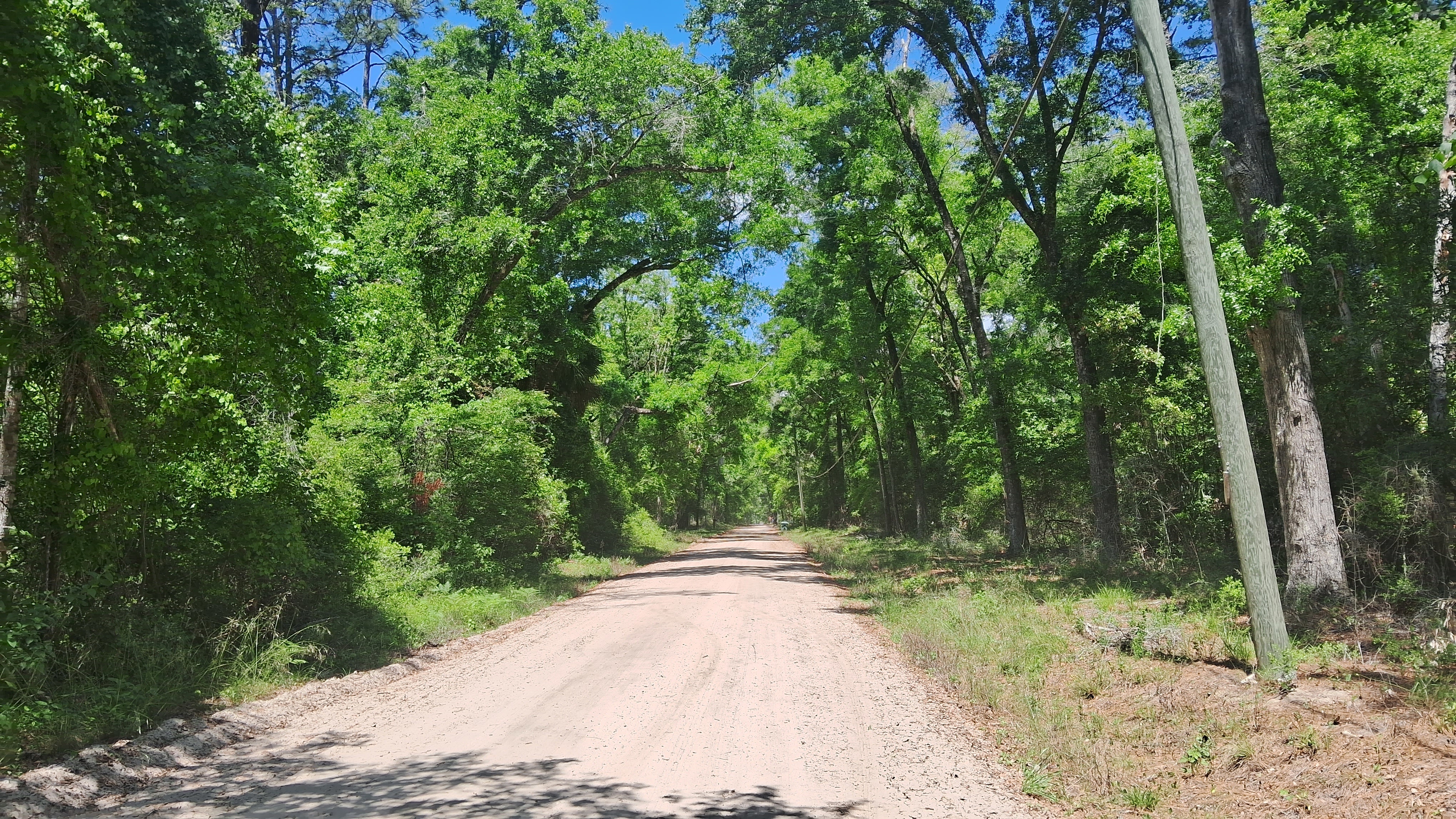 Buildable Residential Lot in Wakulla Gardens | 0.11 Acres | Near Tallahassee   Government Surplus Auction - Photo #3
