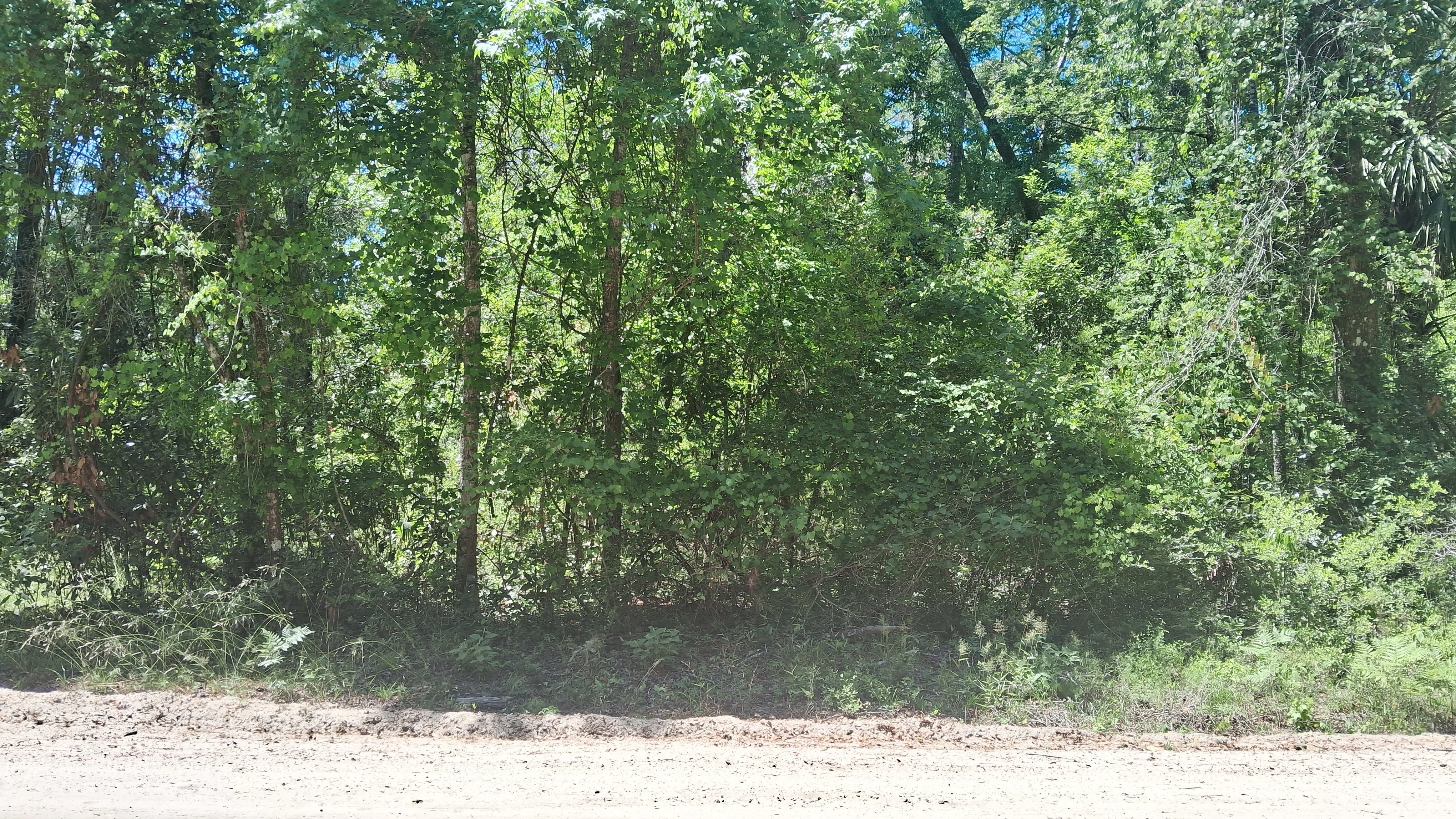 Buildable Residential Lot in Wakulla Gardens | 0.11 Acres | Near Tallahassee   Government Surplus Auction - Photo #5