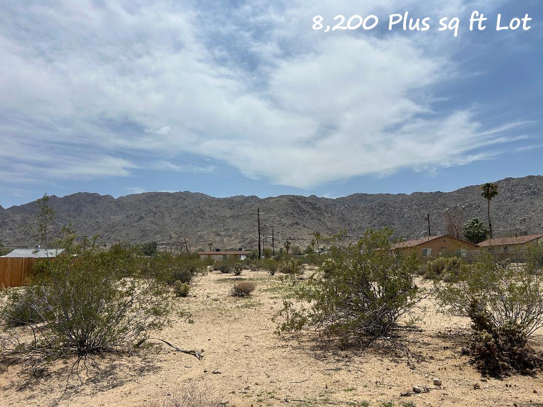 RESIDENTIAL LOT - Owner Financing - Water and Power on the Street  - Twentynine Palms/Joshua Tree   Government Surplus Auction - Photo #6