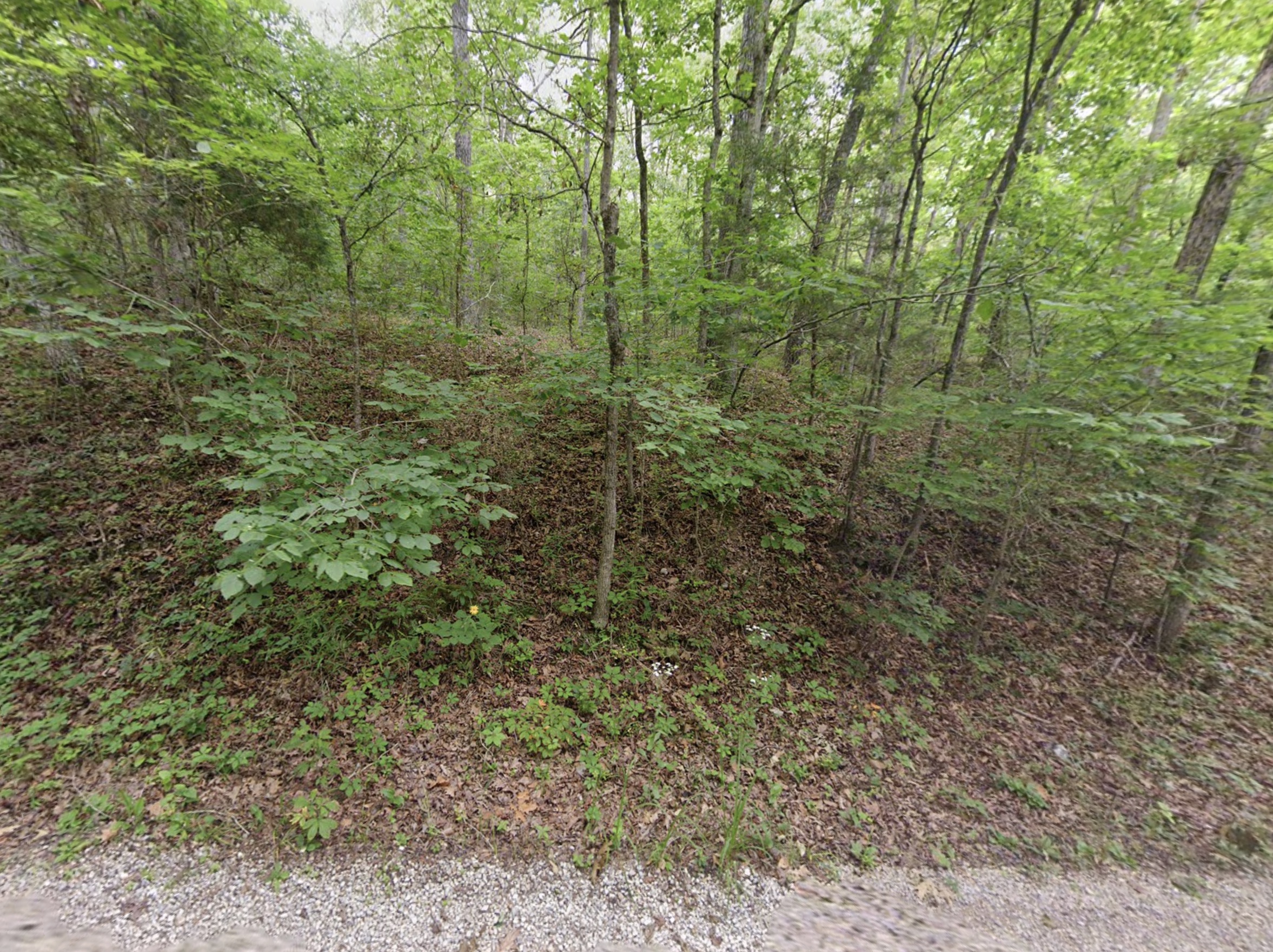 Cherokee Village, AR Area - 0.26acre Resid Lot near Thunderbird Lake!