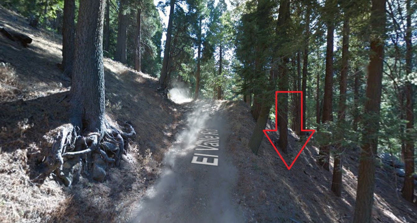 OWNER-FINANCED: Crestline, CA - Lot Near the Lake, $1 Down & as low as $133/mo.