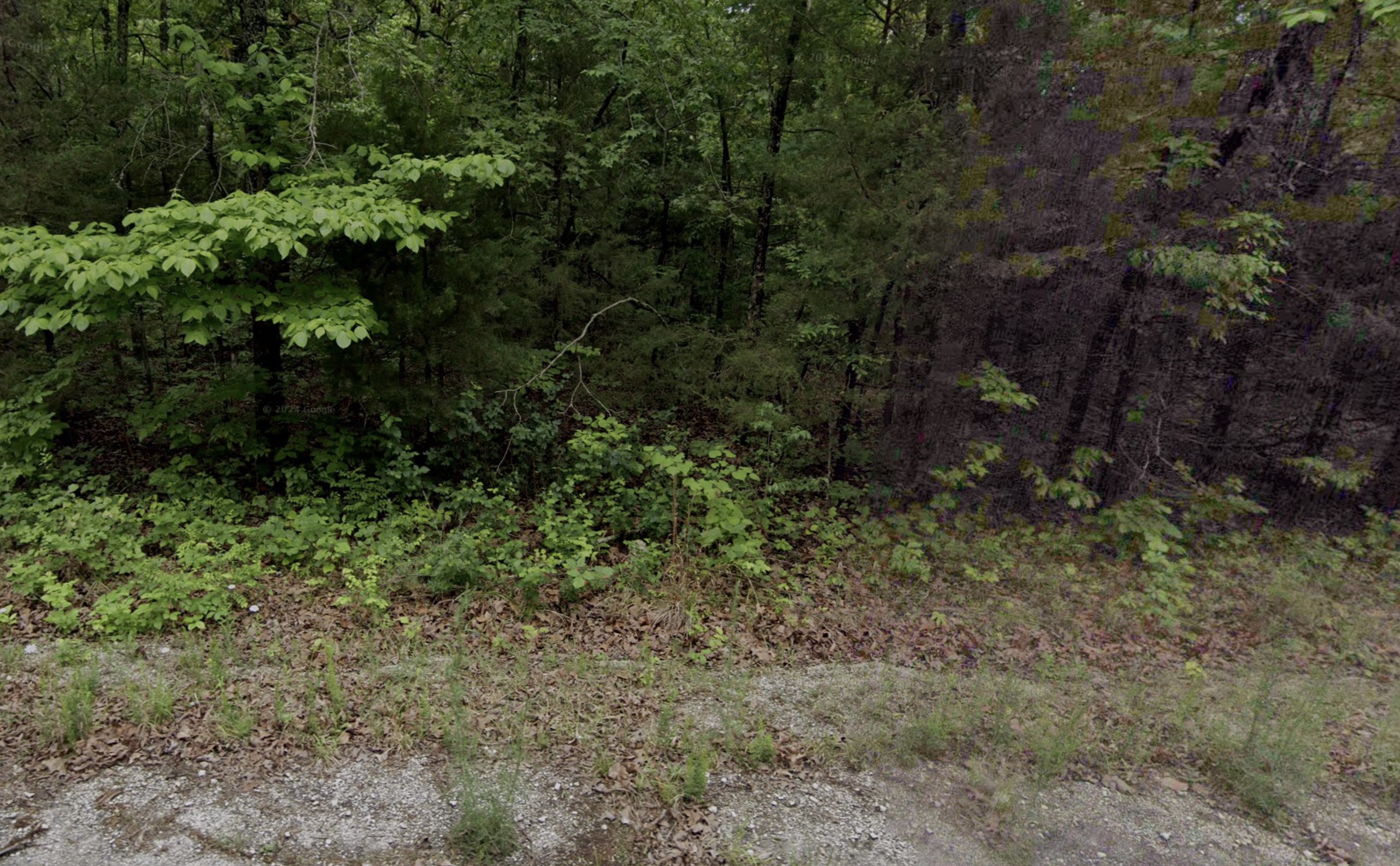 Horseshoe Bend - 0.29acre lot very close to Diamond Lake