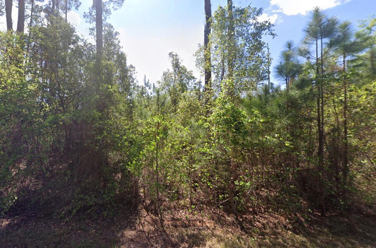 Level, Residential Lot near Lake George, FL
