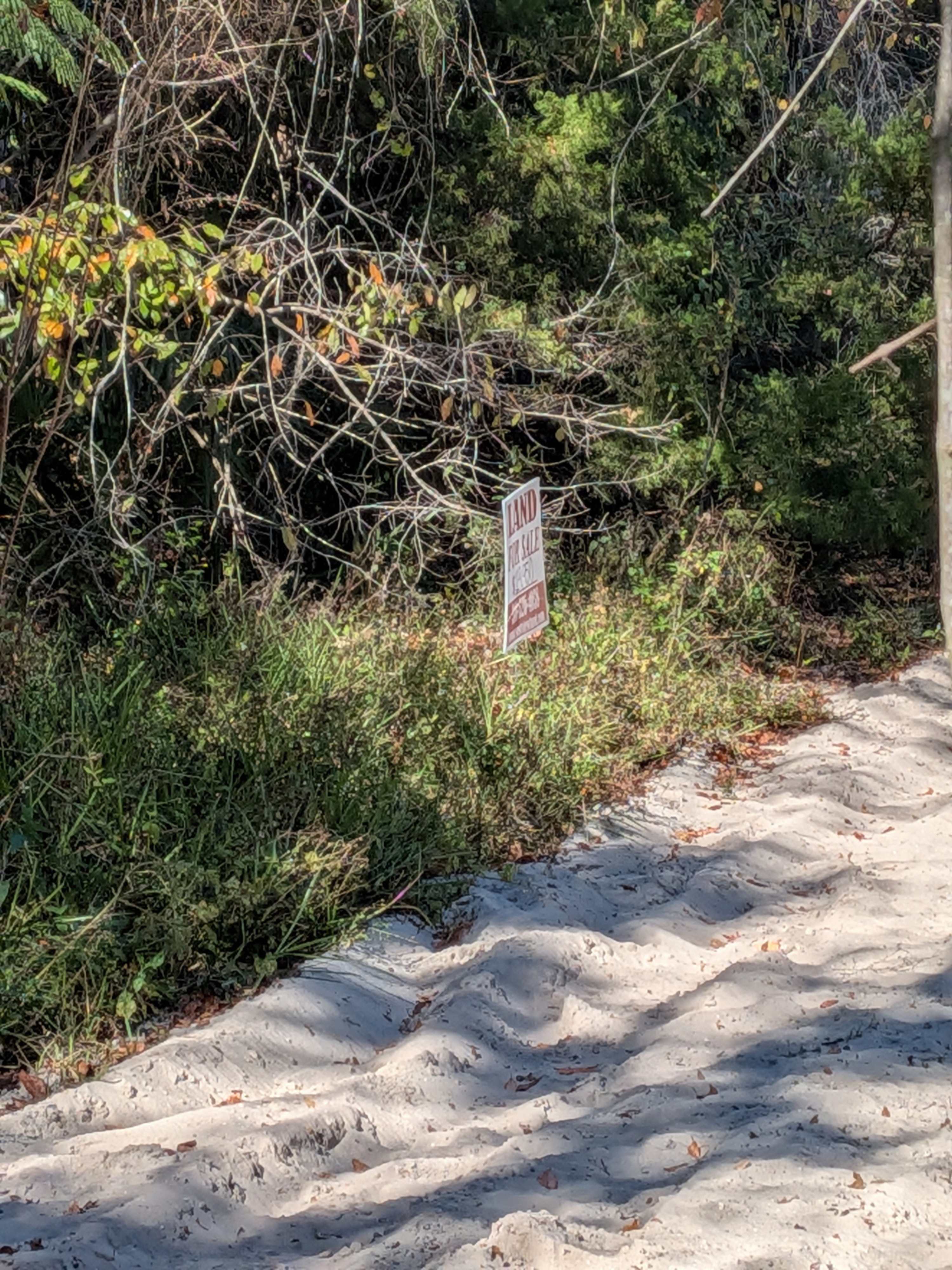 Mixed Residential Vacant Lot Near Lake Weir in Summerfield, FL   Government Surplus Auction - Photo #3