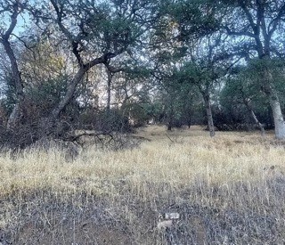 7,169 Sq Ft Residential Lot Right By Clear Lake  169 Government Surplus Auction - Photo #2