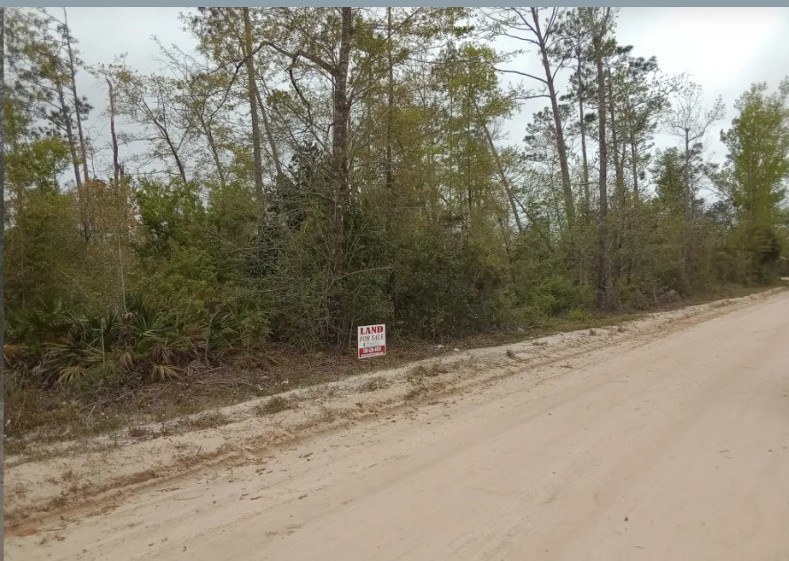 Single Family Residential Double Lot in Fountain, FL   Government Surplus Auction - Photo #2