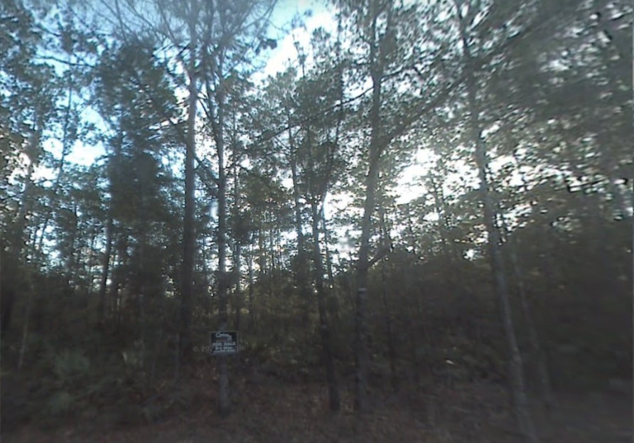 Single Family Residential Double Lot in Fountain, FL   Government Surplus Auction - Photo #6