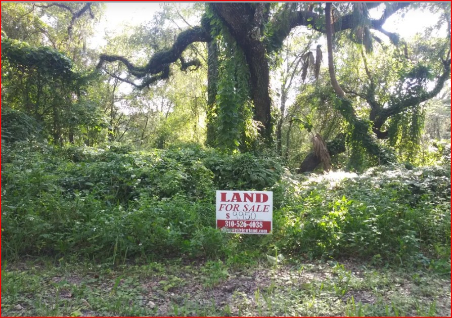 Vacant Residential Lot in Dade City, FL, Special  Warranty Deed!   Government Surplus Auction - Photo #4