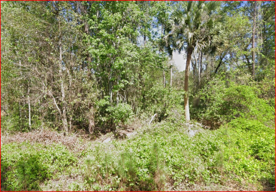 Undeveloped Residential Lot near Lake George, FL