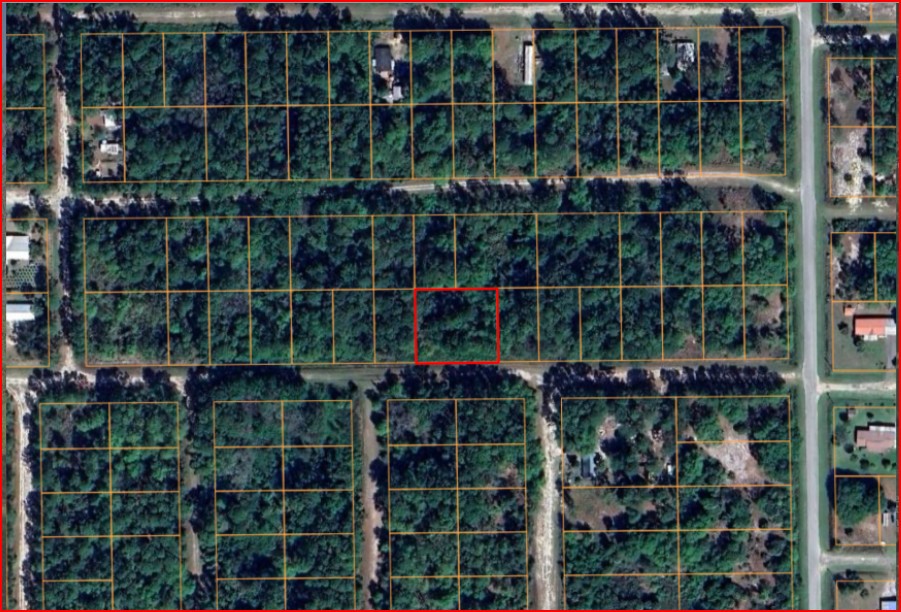 Undeveloped Residential Lot near Lake George, FL   Government Surplus Auction - Photo #5