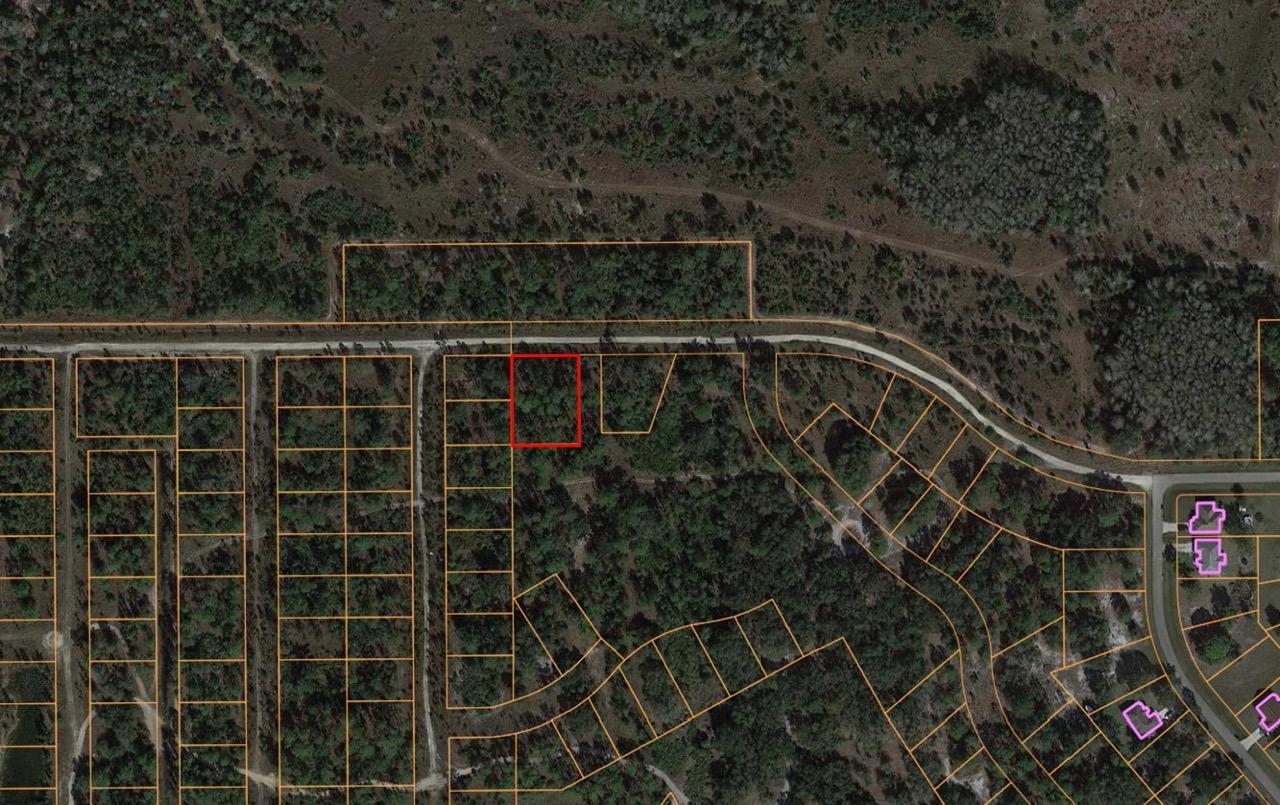 Nearly Half an Acre near Lehigh Acres   Government Surplus Auction - Photo #4