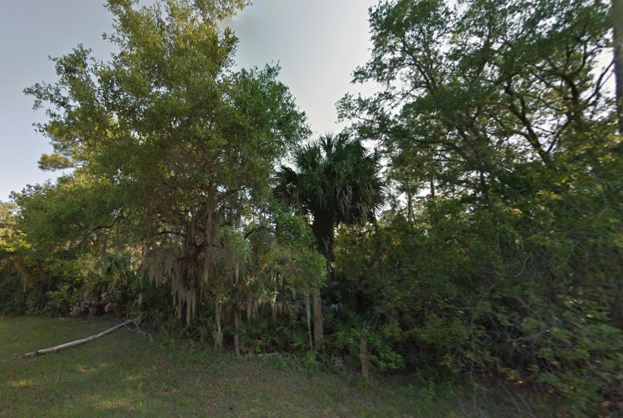 Undeveloped Residential Lot in North Port, FL   Government Surplus Auction - Photo #2