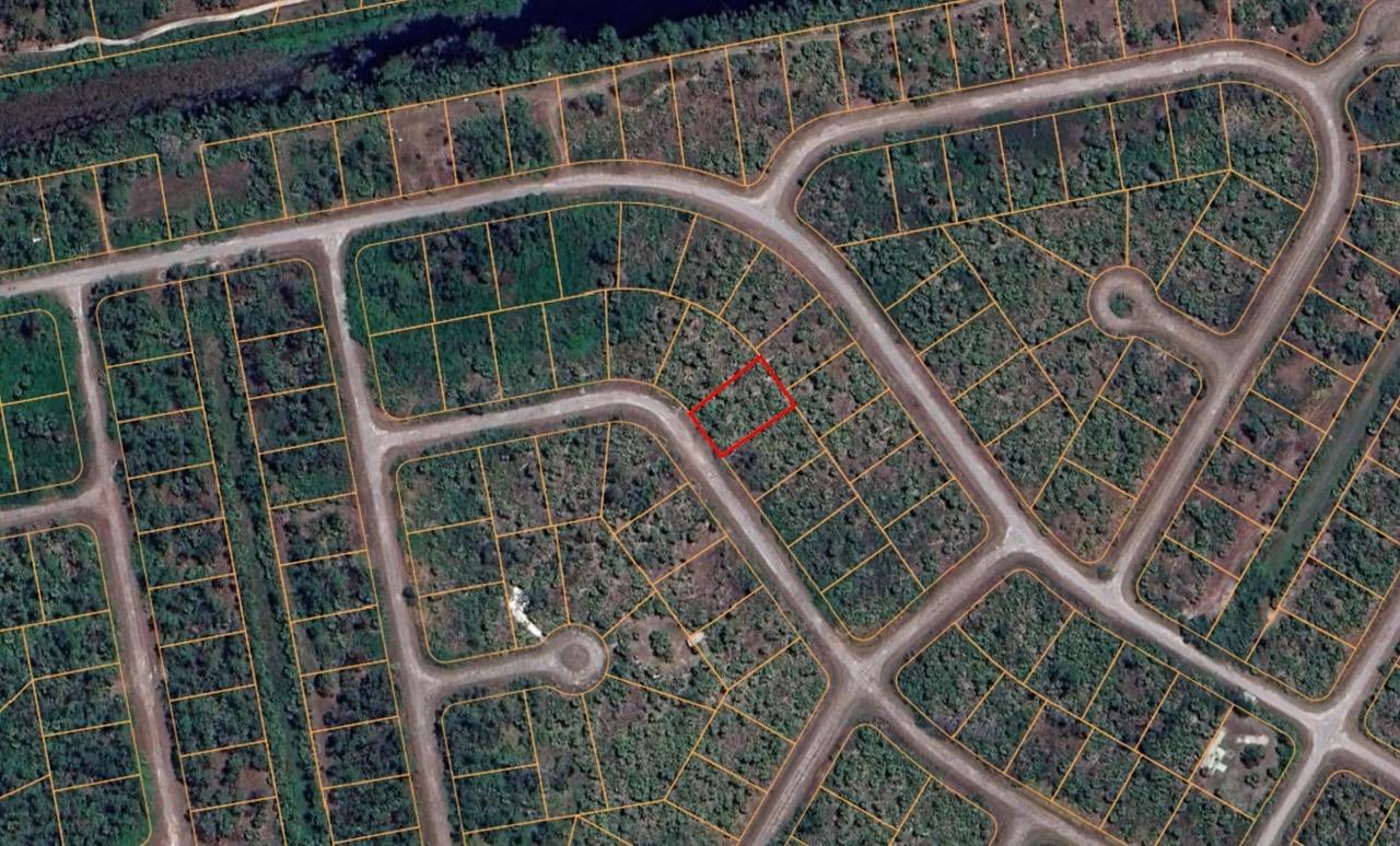 Undeveloped Residential Lot in North Port, FL   Government Surplus Auction - Photo #4