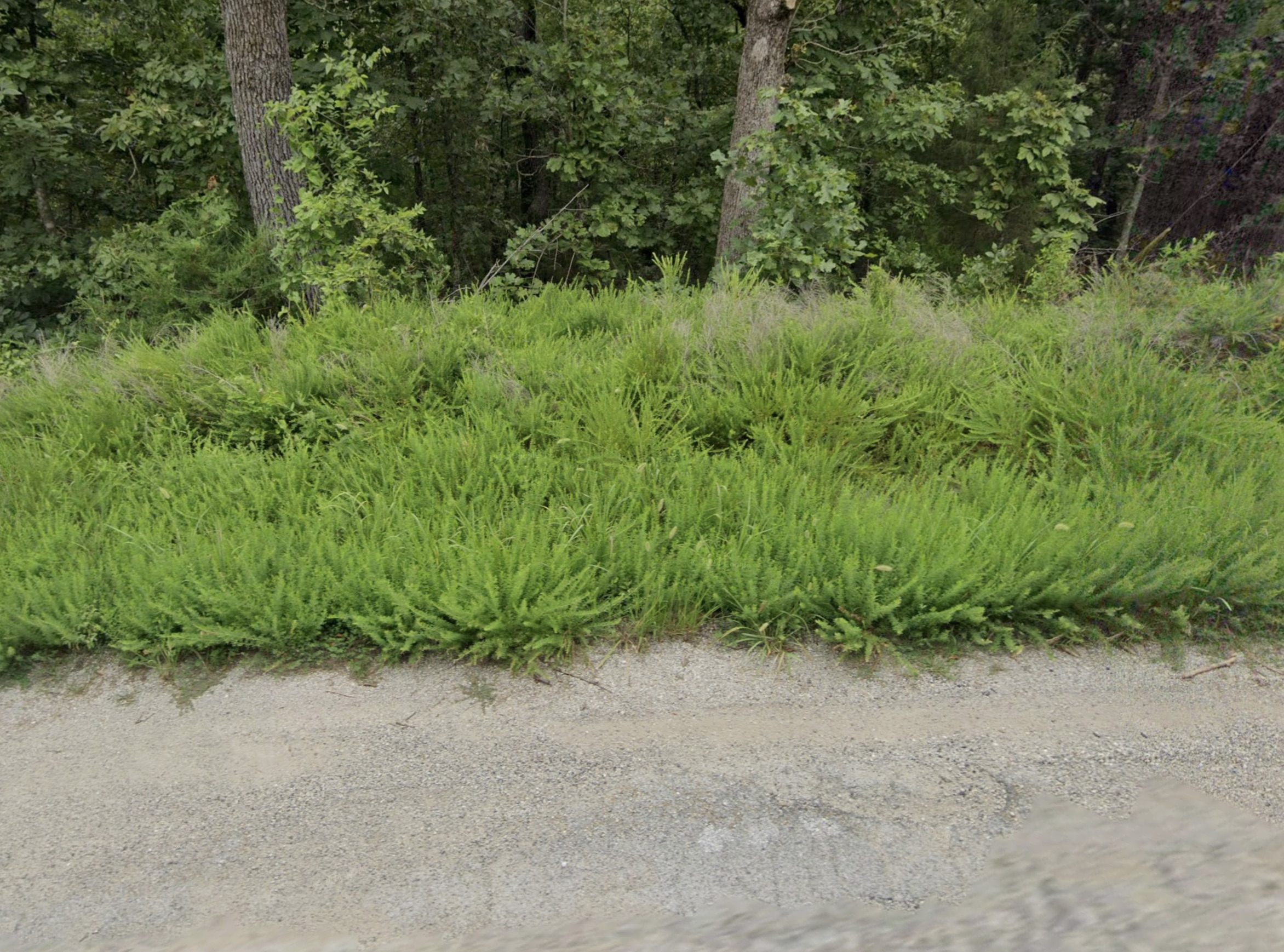 Cherokee Village, AR Area - 0.26acre Resid Lot near Lake Omaha!