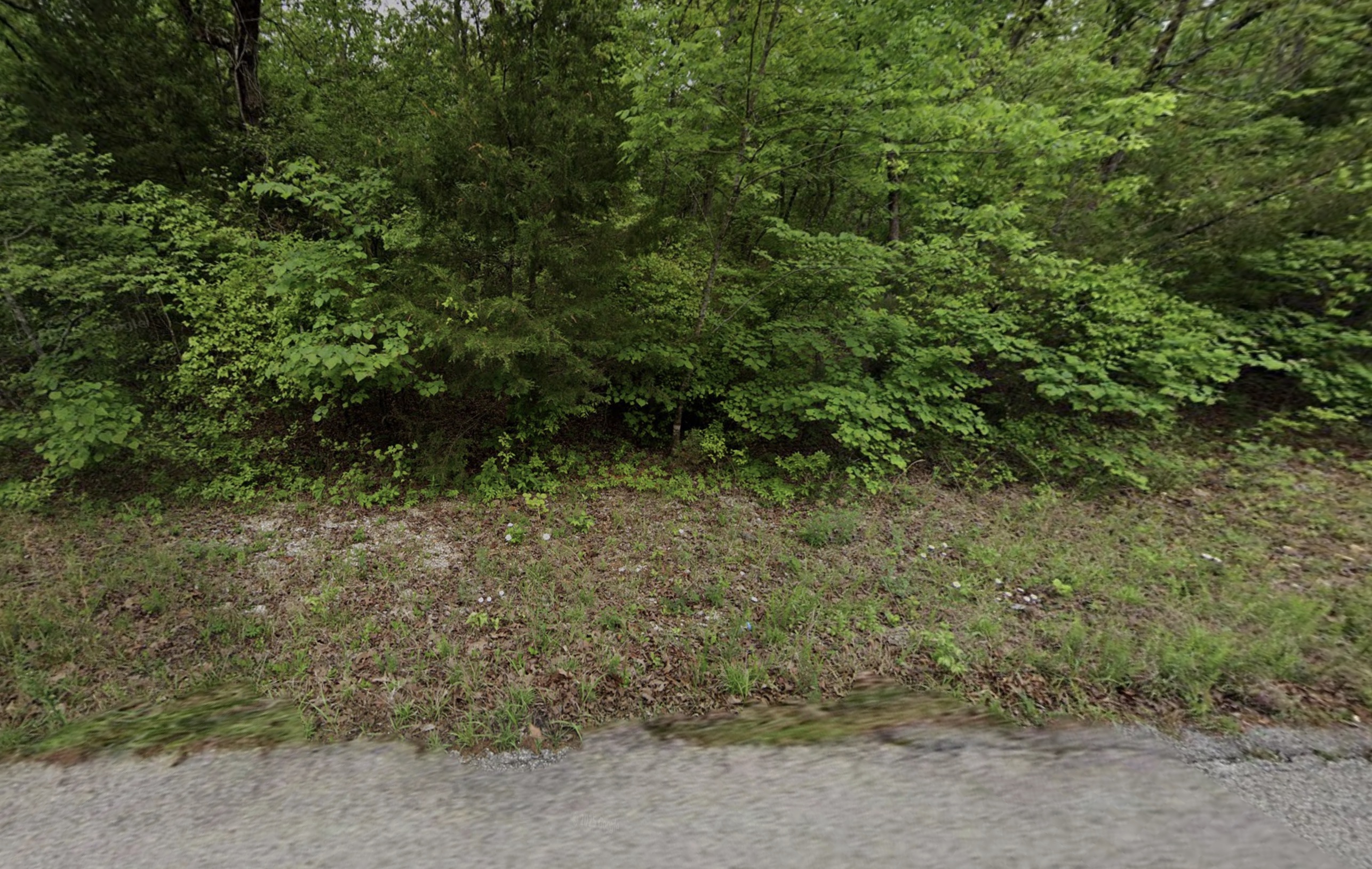 Horseshoe Bend - 0.25acre lot very close to Diamond Lake