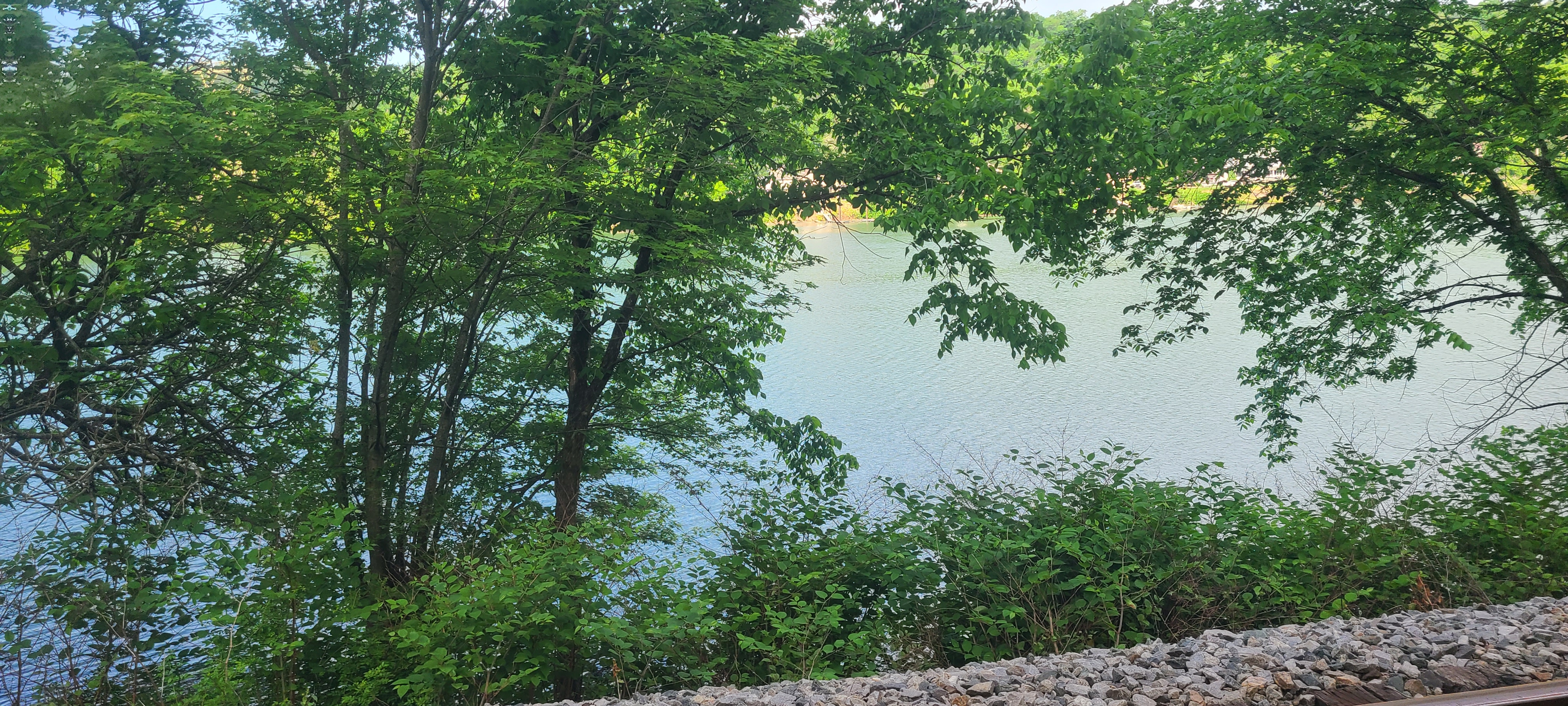 2 of 2 adjacent Riverfront Lots with a cabin and Amazing water views in Fayette city, PA