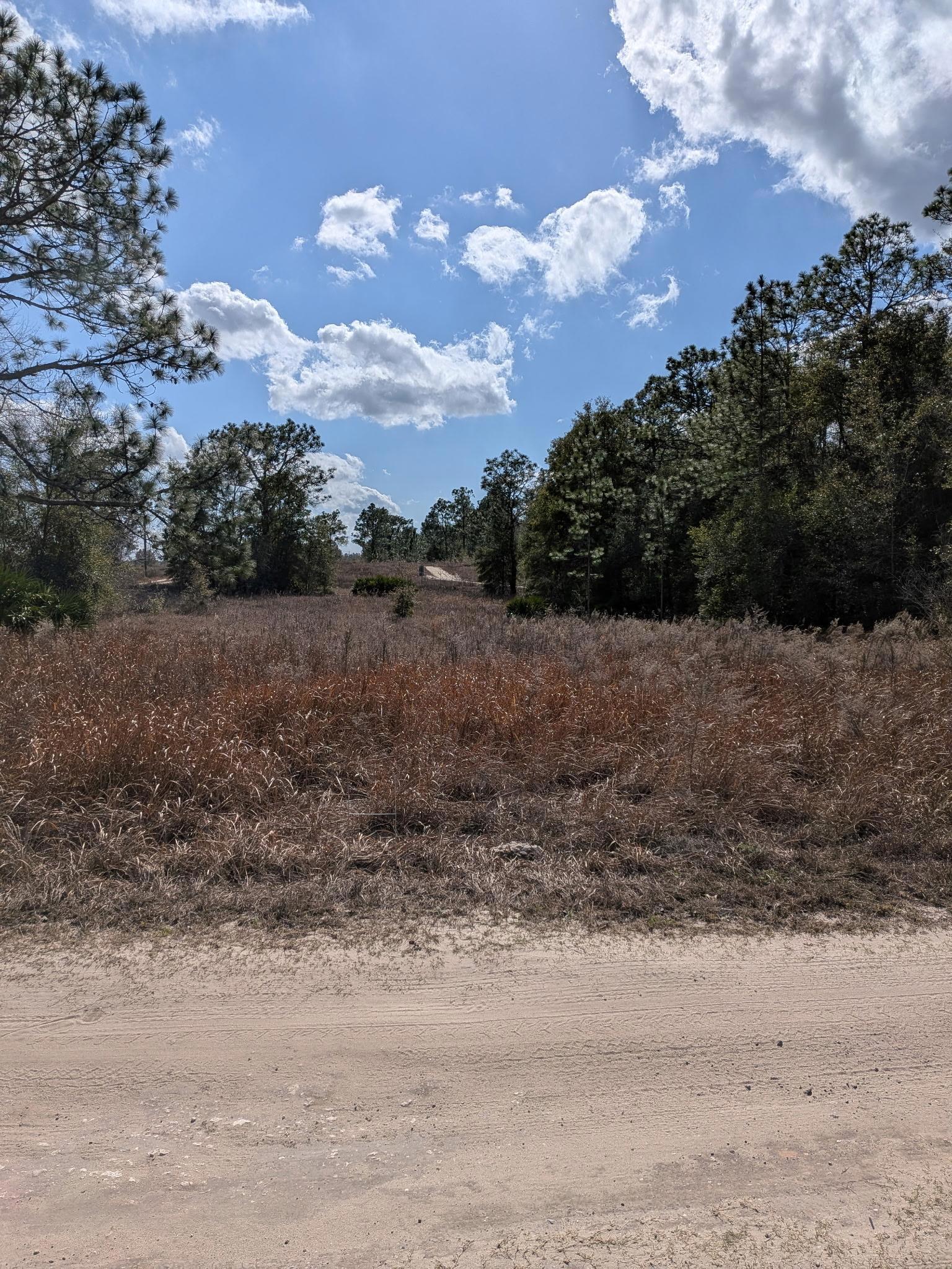 Vacant Corner Residential Lot in Ocala, FL with Adjoining Lot