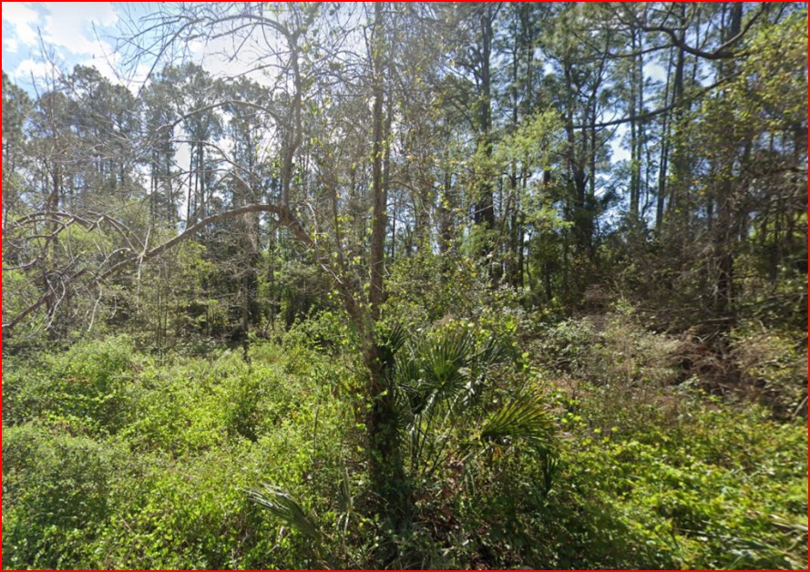 Residential, Undeveloped Lot near Lake in Georgetown, FL