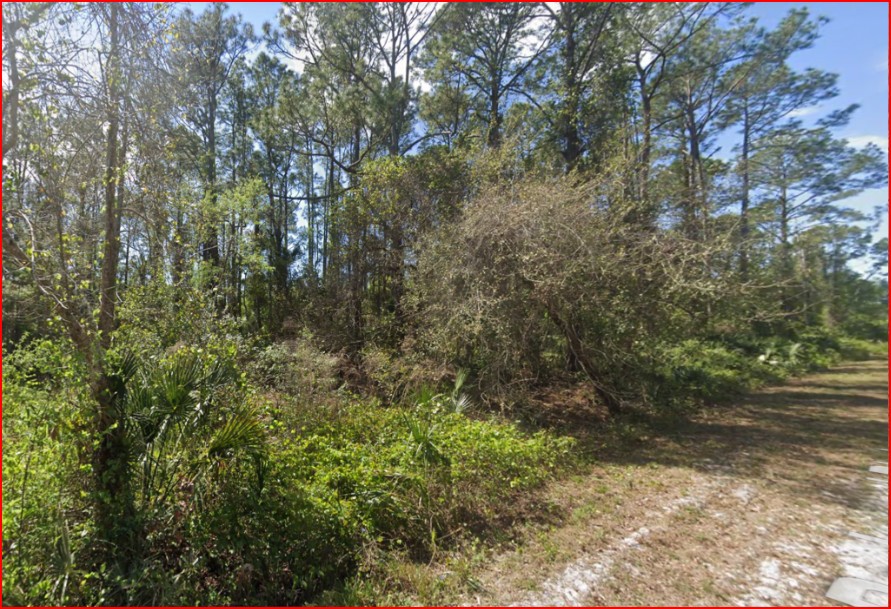 Residential, Undeveloped Lot near Lake in Georgetown, FL   Government Surplus Auction - Photo #2