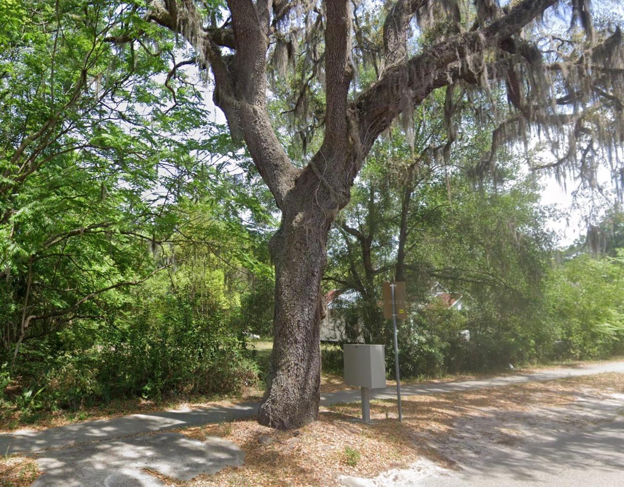 Residential, Undeveloped Lot in Deland, FL   Government Surplus Auction - Photo #2