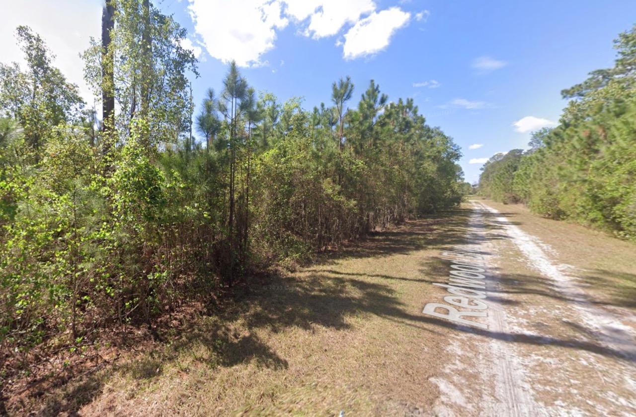Level, Residential Lot near Lake George, FL   Government Surplus Auction - Photo #3