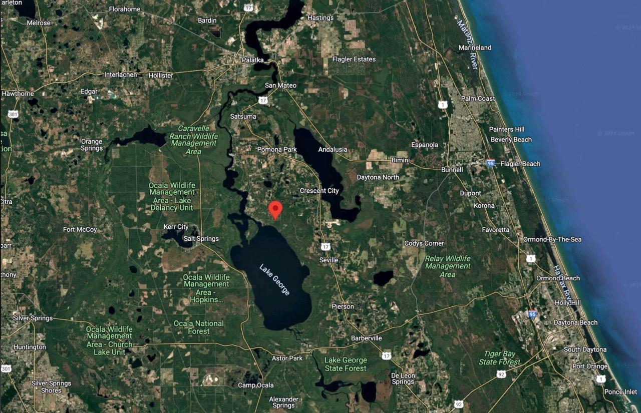 Level, Residential Lot near Lake George, FL   Government Surplus Auction - Photo #4